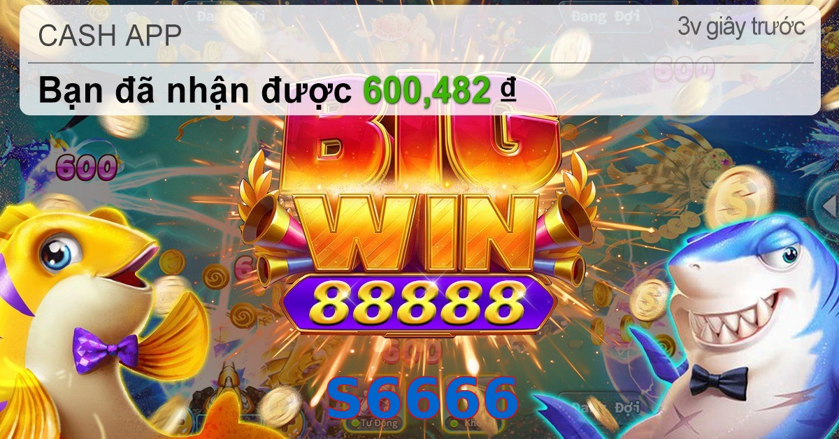 S6666