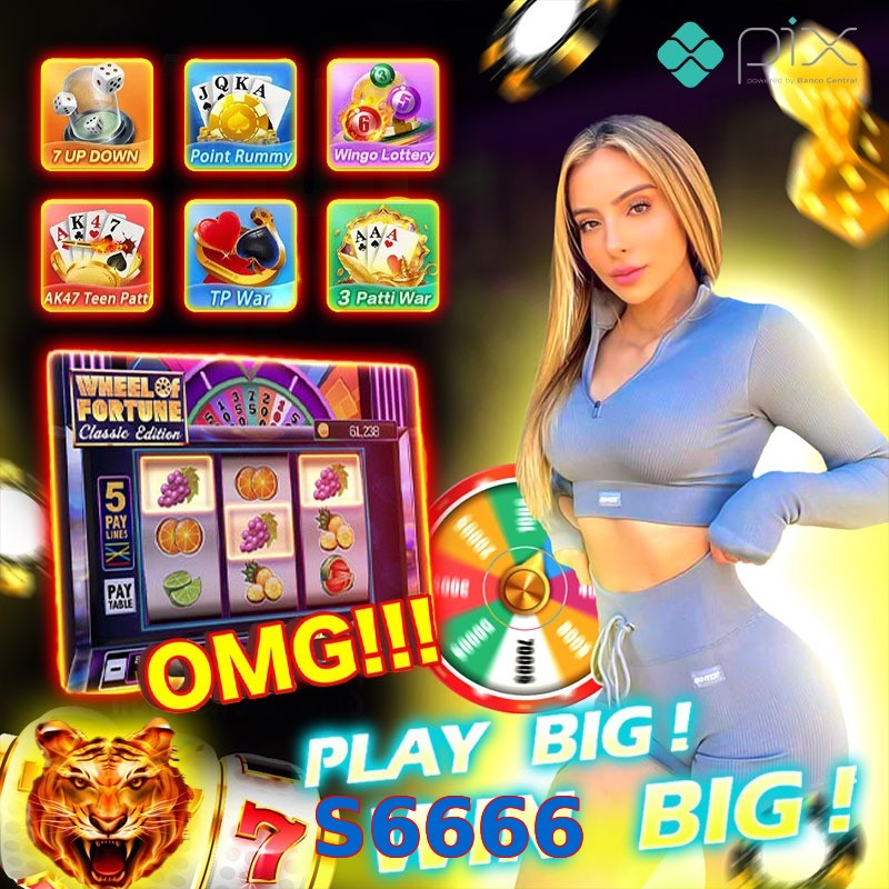 S6666